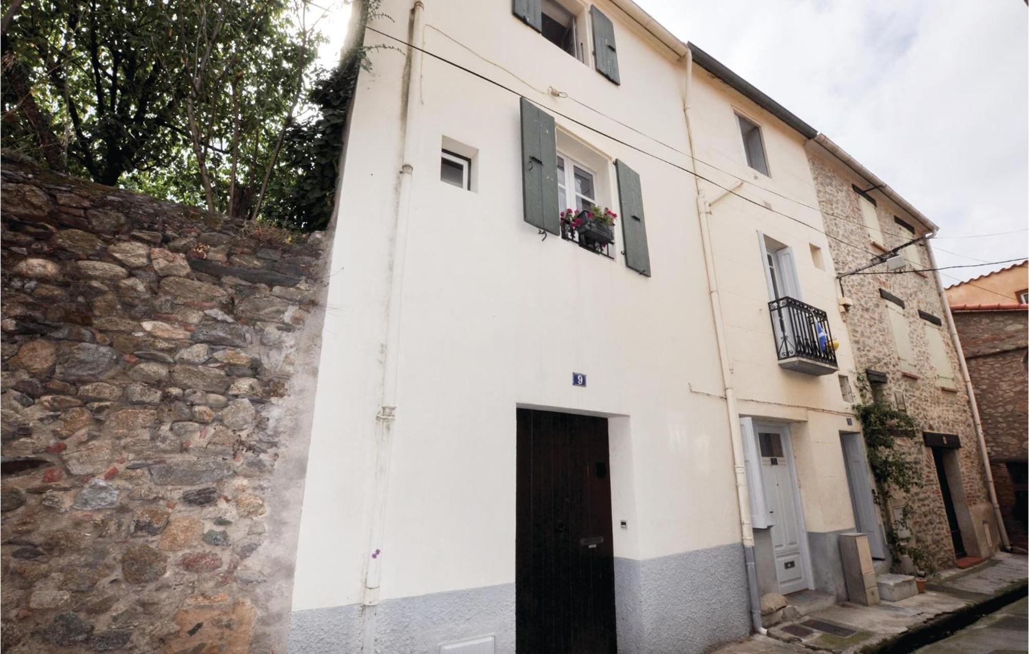 Amazing Home In Ceret With Wifi Εξωτερικό φωτογραφία