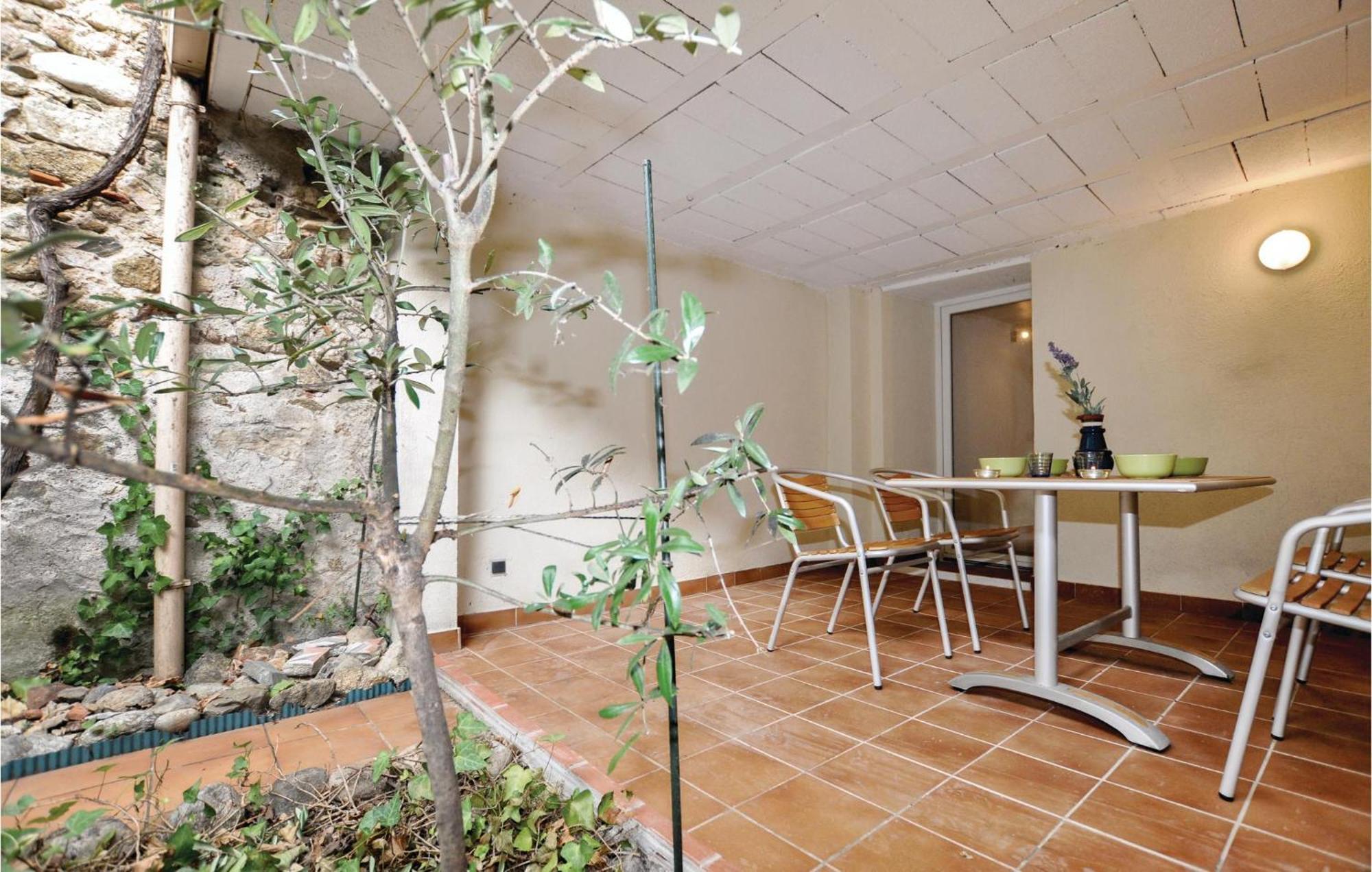 Amazing Home In Ceret With Wifi Εξωτερικό φωτογραφία